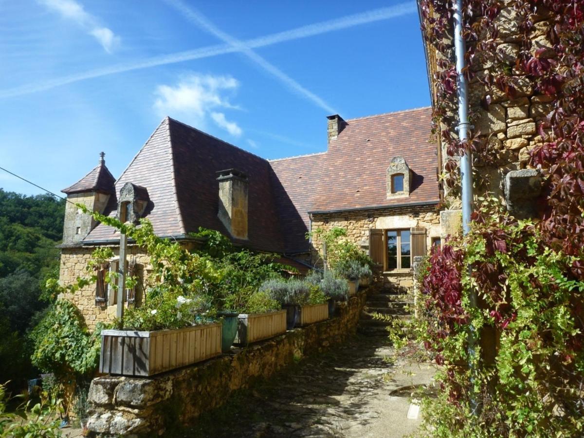 Domaine De Cantegrel - Gites De Charme Et Suite Troglodyte En Perigord Витрак Экстерьер фото