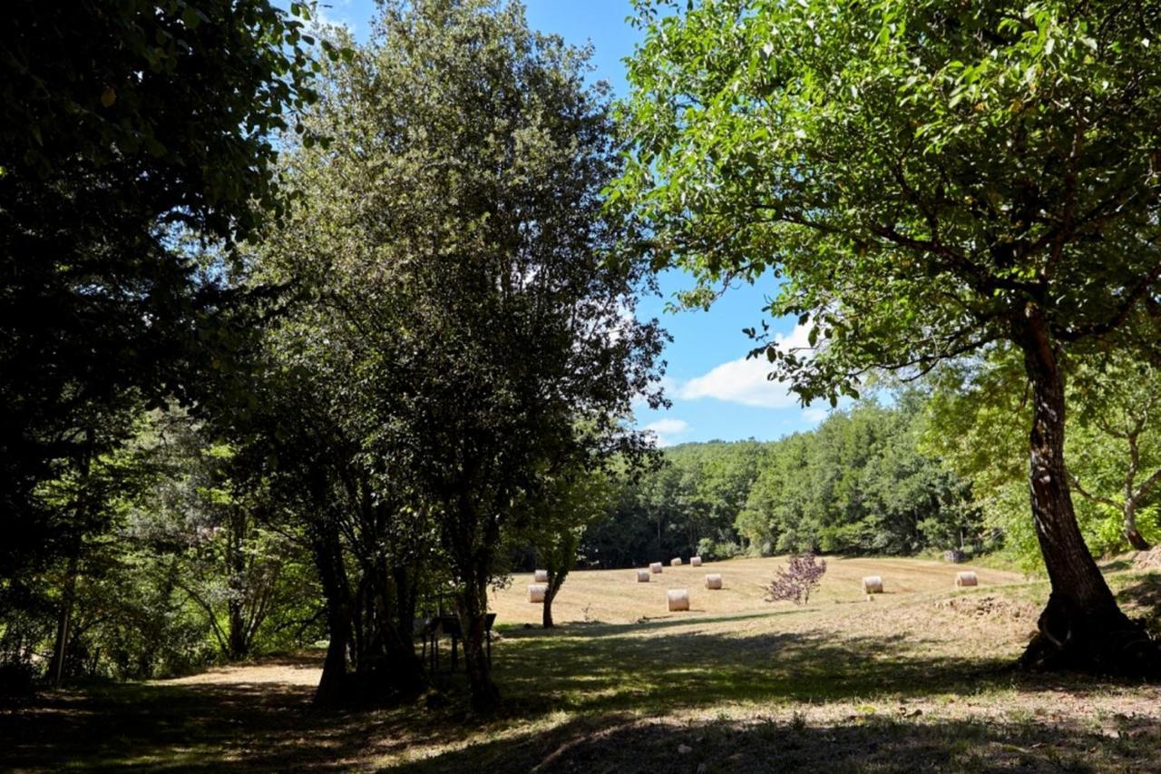 Domaine De Cantegrel - Gites De Charme Et Suite Troglodyte En Perigord Витрак Экстерьер фото