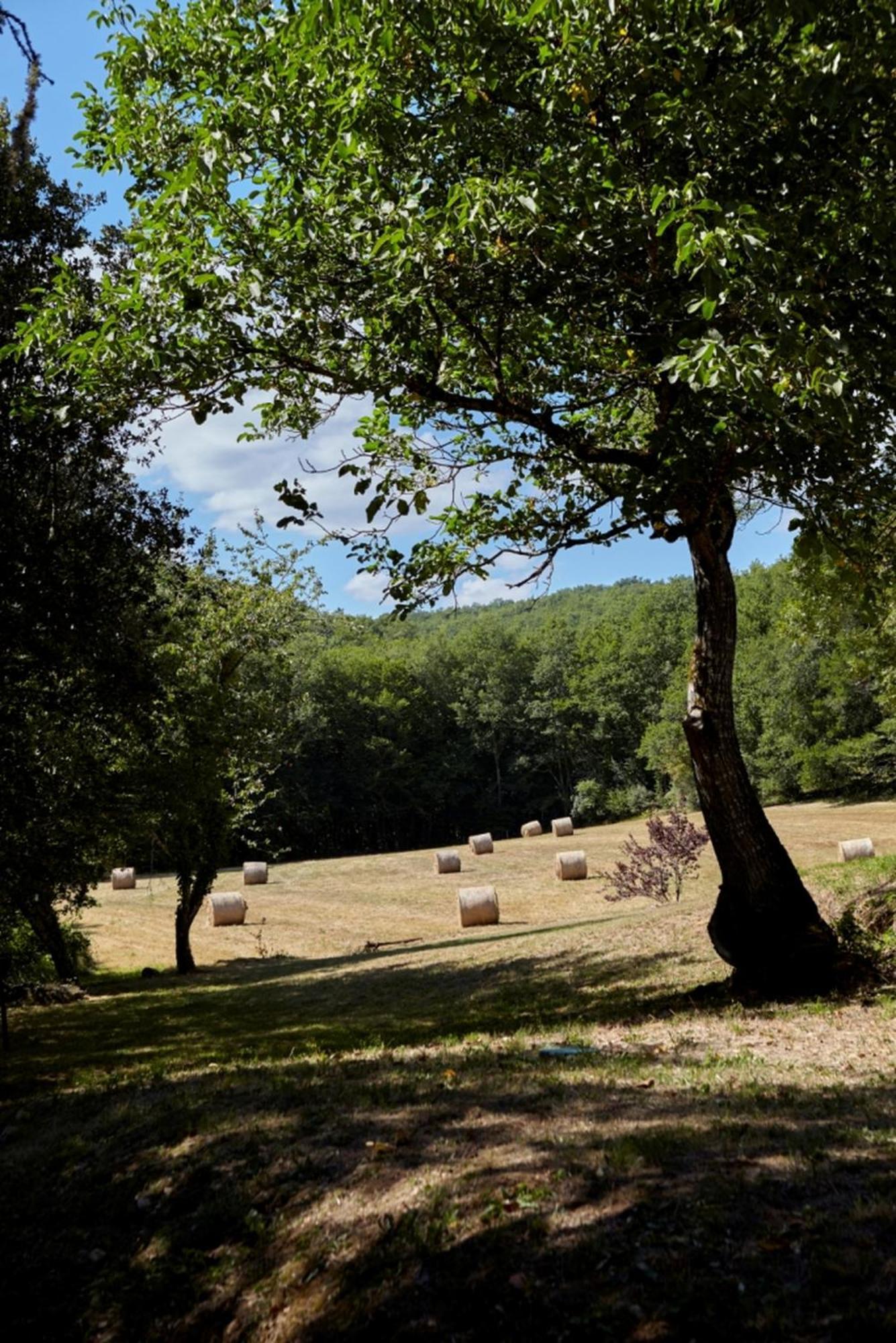 Domaine De Cantegrel - Gites De Charme Et Suite Troglodyte En Perigord Витрак Экстерьер фото